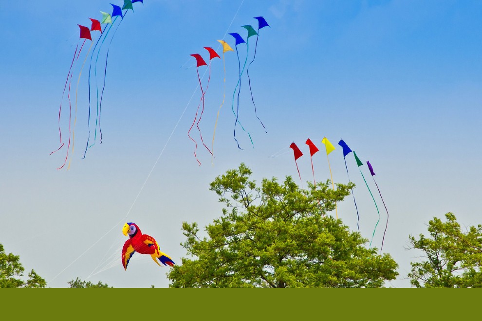 Lyon Township Kite Festival Michigan Fun